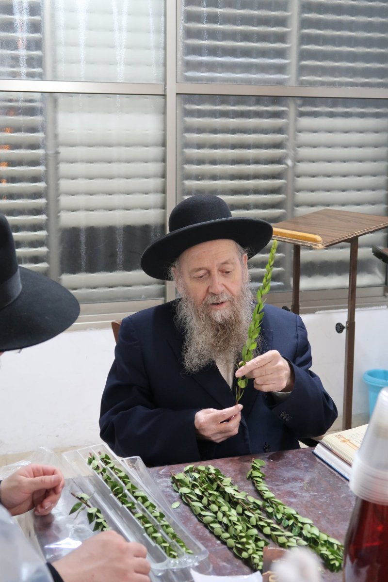 י. פריד