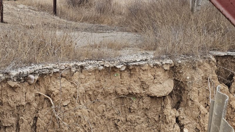 אלה טל חיוט רשות הטבע והגנים