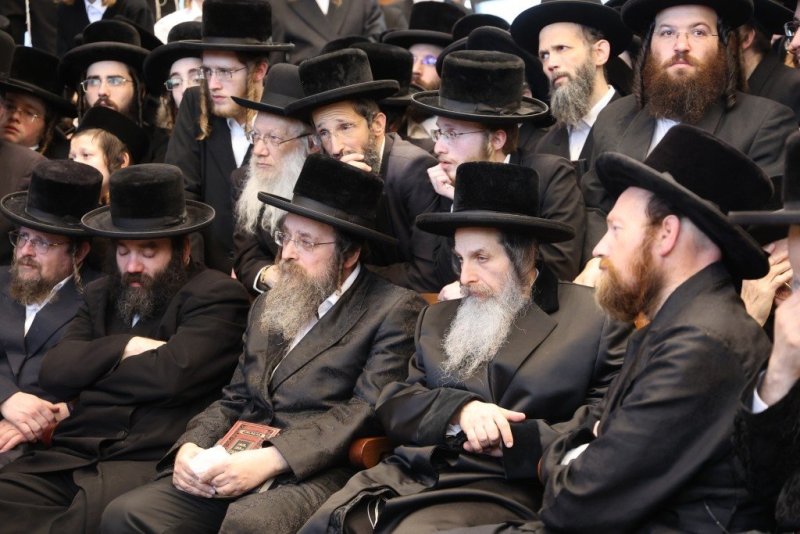 שלומי טריכטר