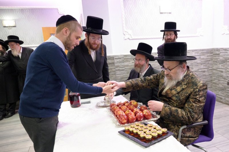 דודי בראון