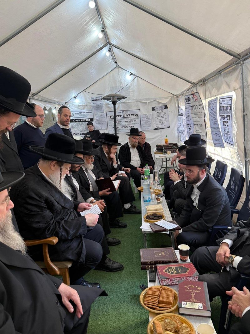 באדיבות המצלם