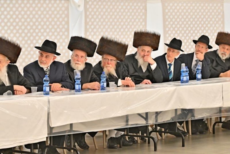 יהושע פרוכטר