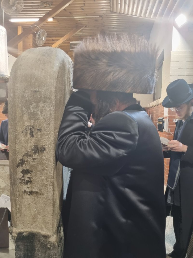 באדיבות המצלם