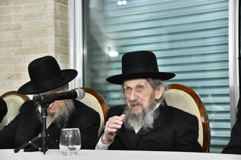 שוקי לרר ומאיר זלזניק