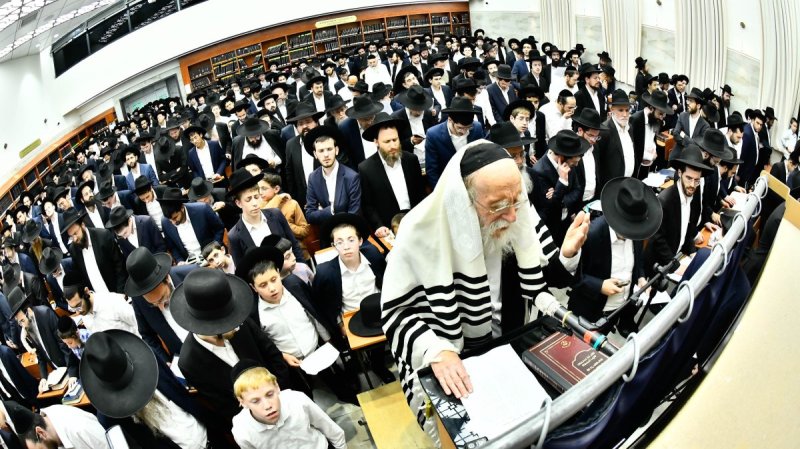 שוקי לרר