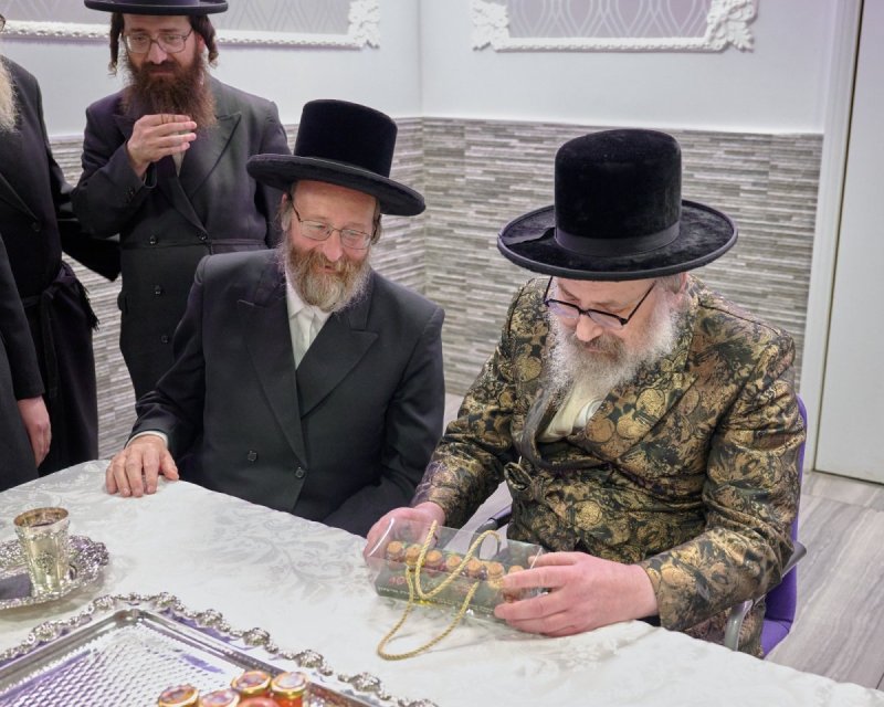 דודי בראון