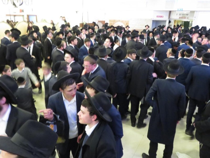 שלומי טריכטר