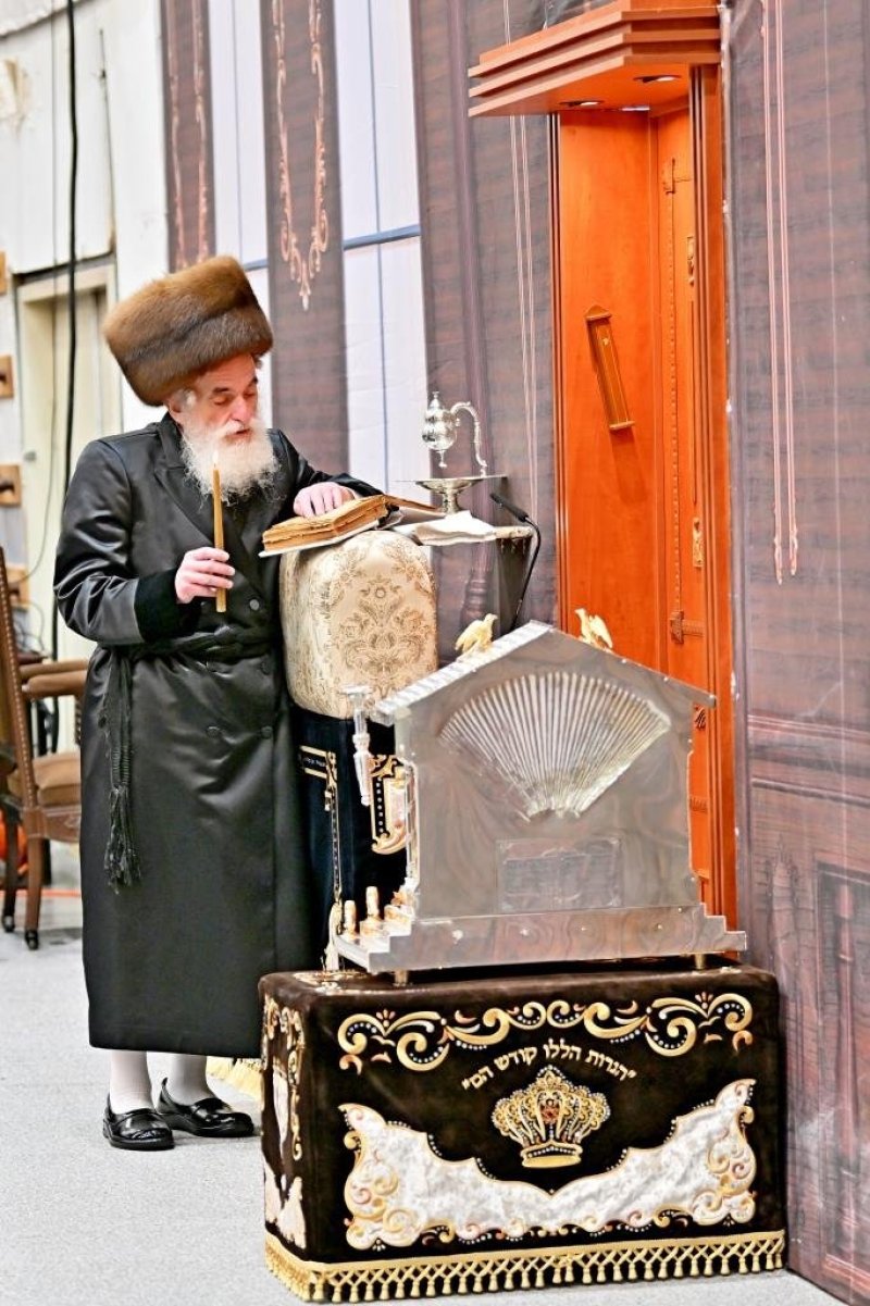 יהושע פרוכטר