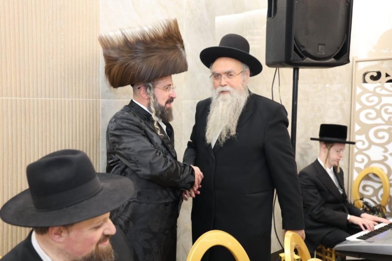 שלומי טריכטר