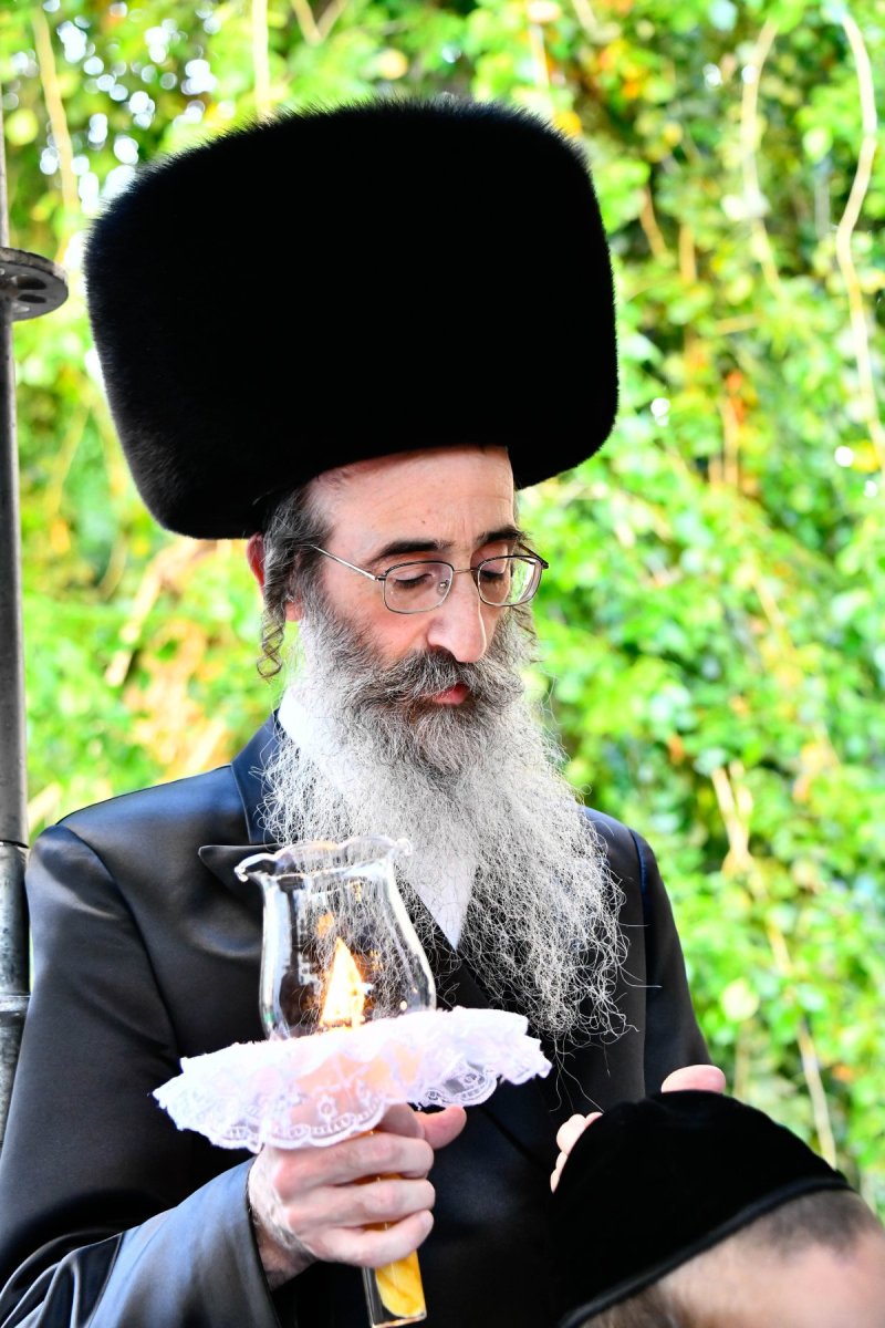 שוקי לרר