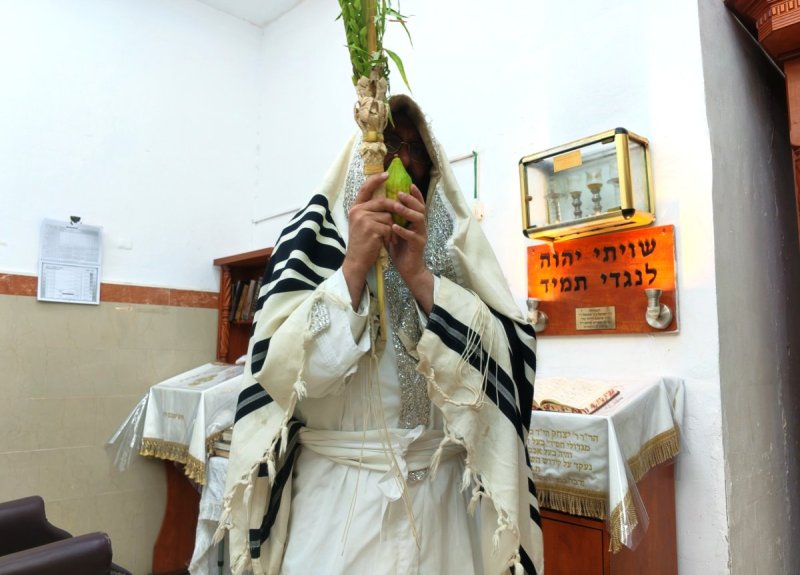 שוקי לרר