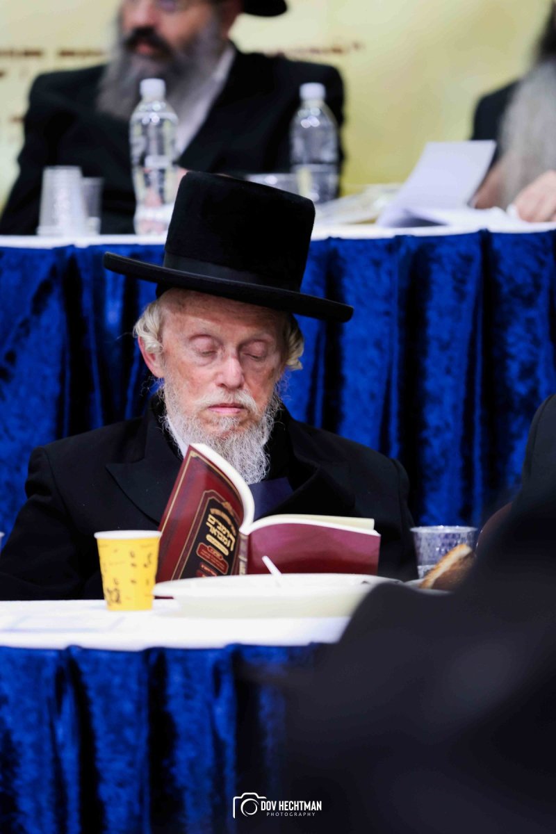 דוב בער הכטמן