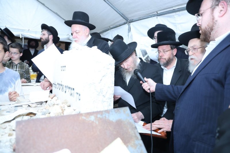 שלומי טריכטר