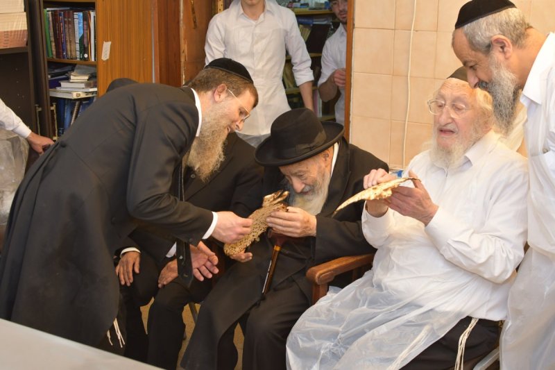 באדיבות המצלם