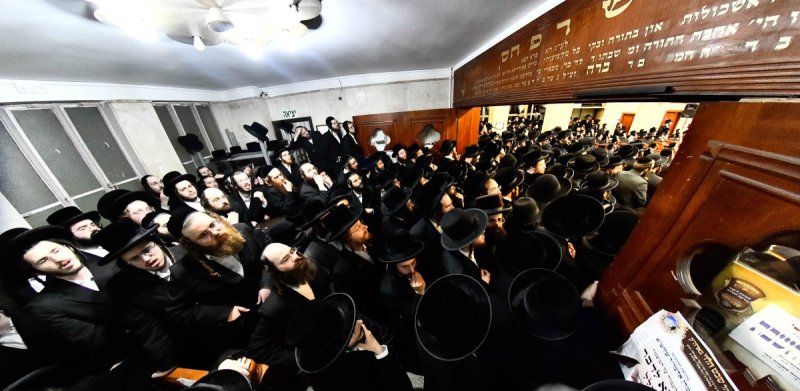 שוקי לרר