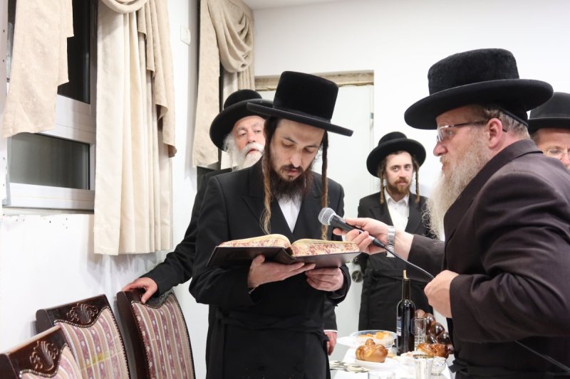 א. שטול