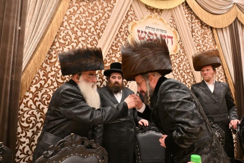 יהושע פרוכטר