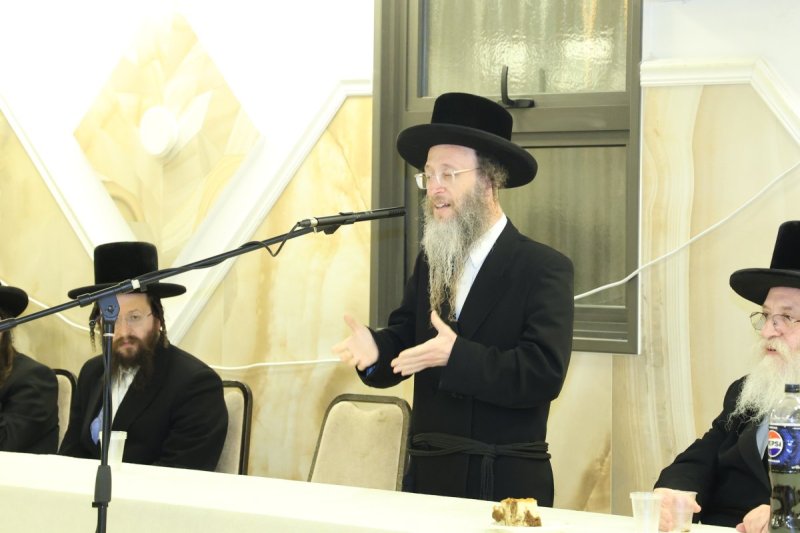 שלומי טריכטר
