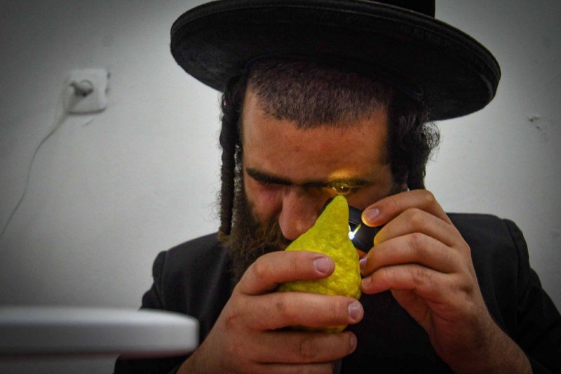 ארי קופרשטוק