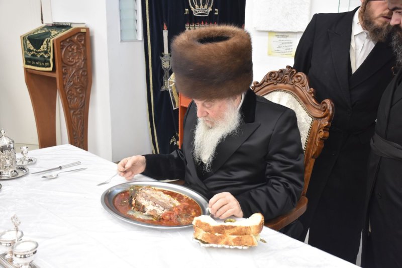 יהודה פרקוביץ