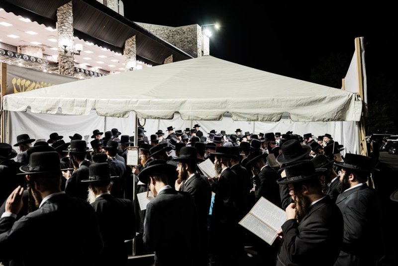 י. שטיין