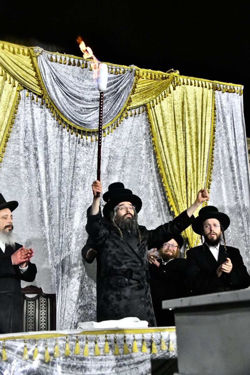 שוקי לרר