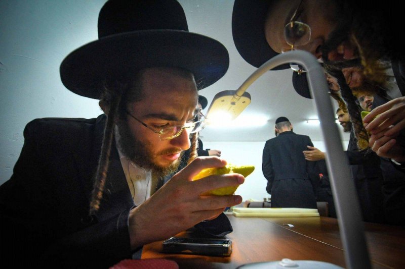 ארי קופרשטוק