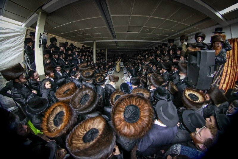 א. אייזנבאך