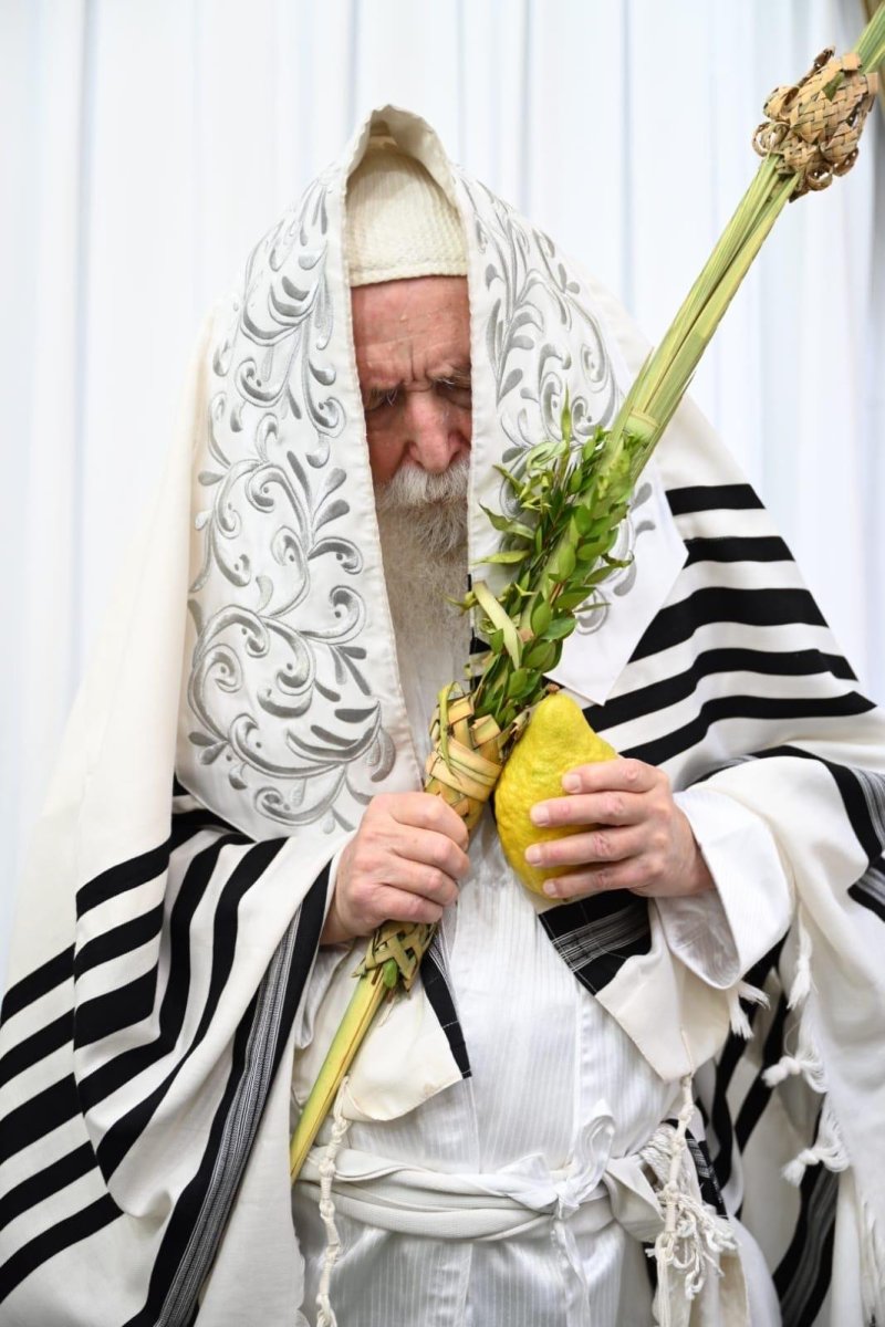 י.ש.חיימסון