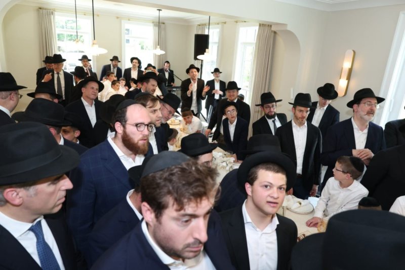 דניאל נפוסי ואלי קובין