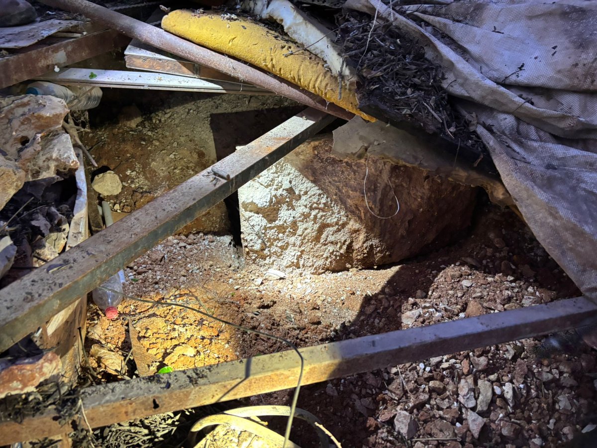 דוברות המשטרה