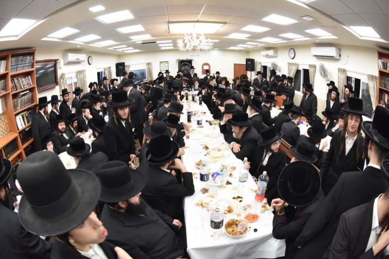 יהודה פרקוביץ