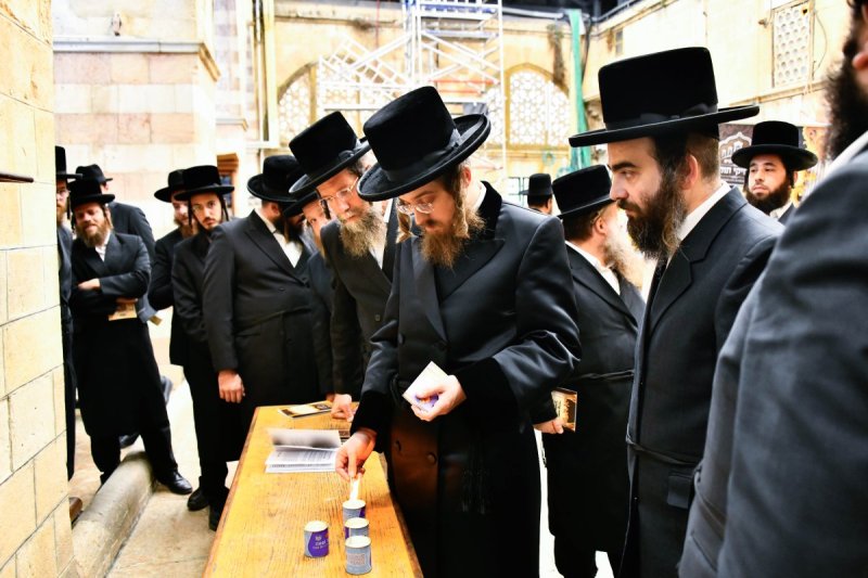 שוקי לרר