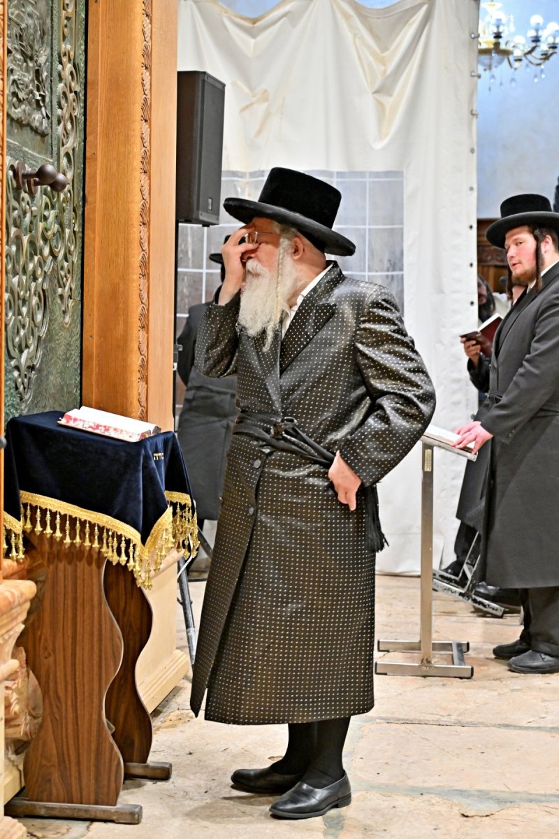 יהושע פרוכטר