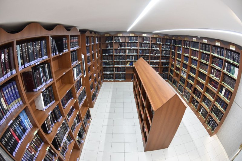 יהודה פרקוביץ