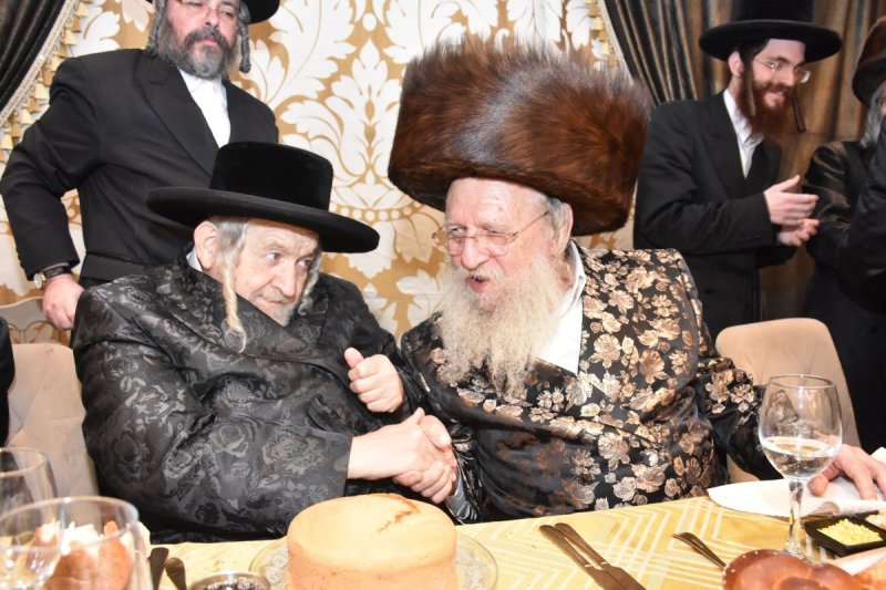 יהודה פרקוביץ