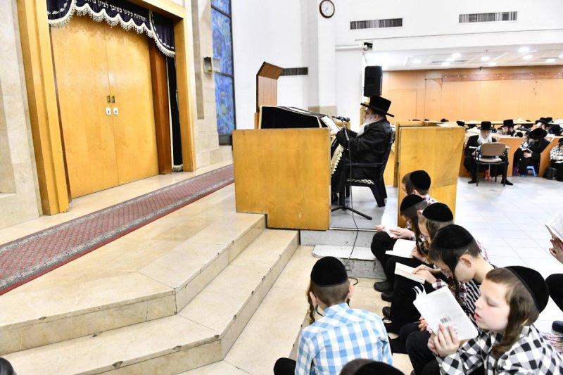 שוקי לרר