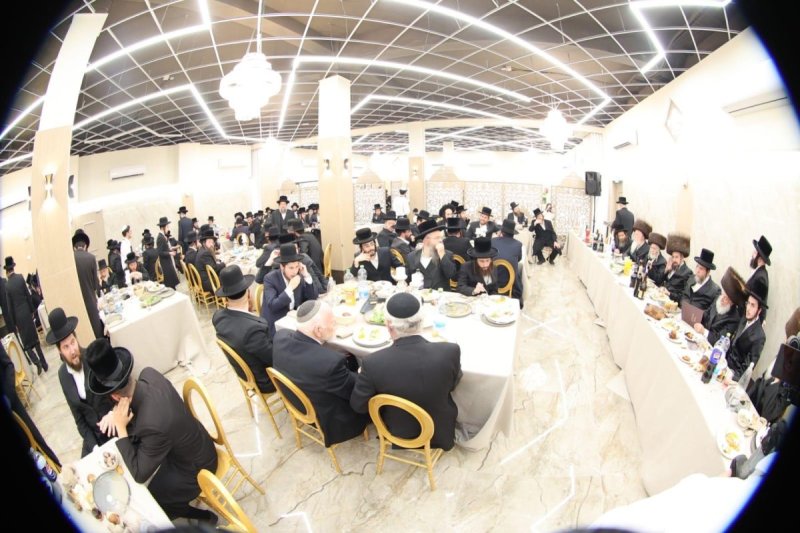 שלומי טריכטר