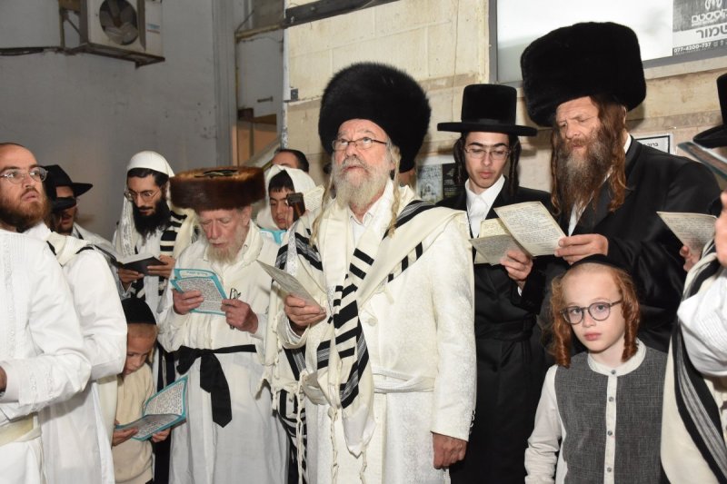 יהודה פרקוביץ