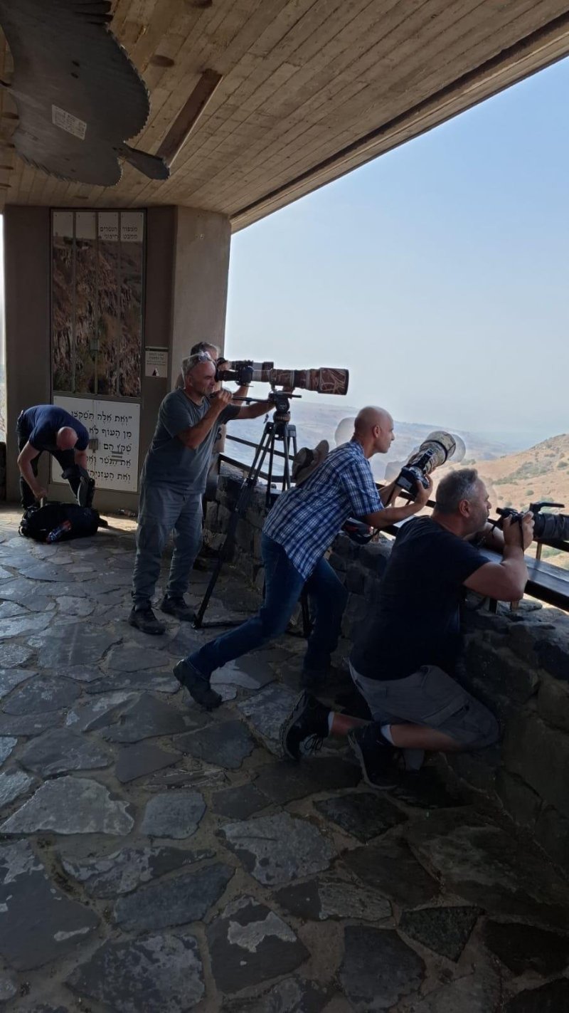 נועם נוסבוים