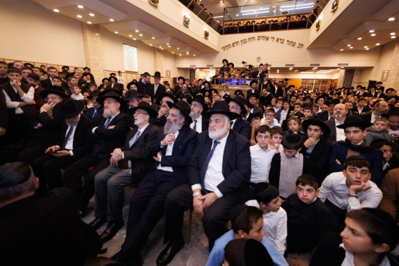 דניאל נפוסי ומאיר זלזניק