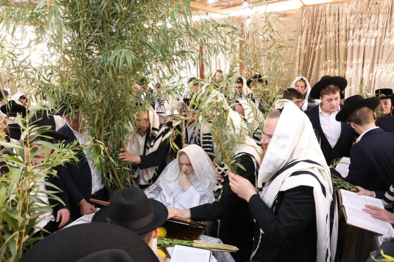 שוקי לרר ושמואל דריי