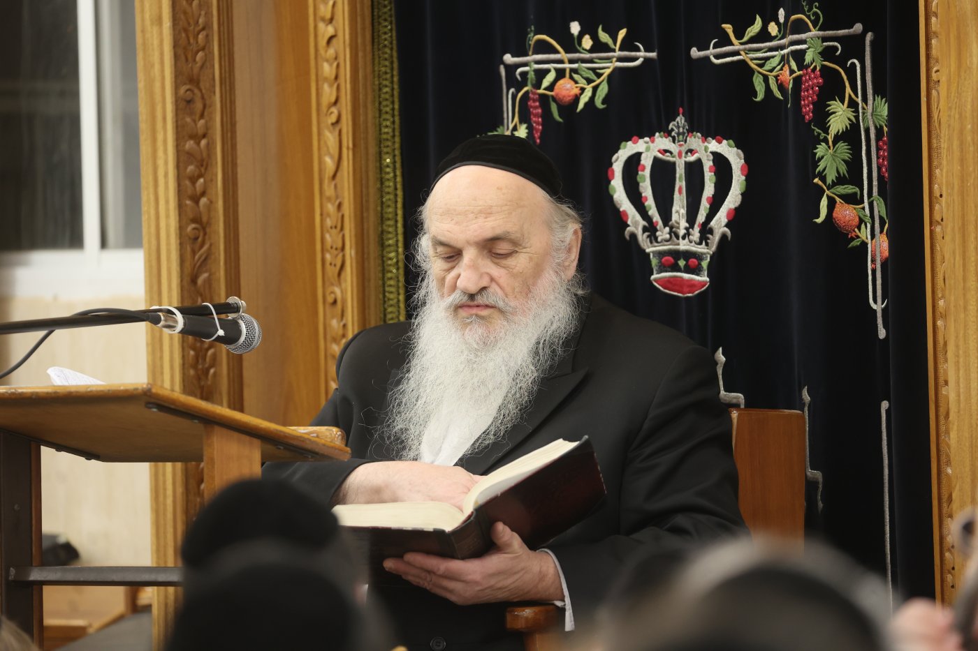שלומי טריכטר