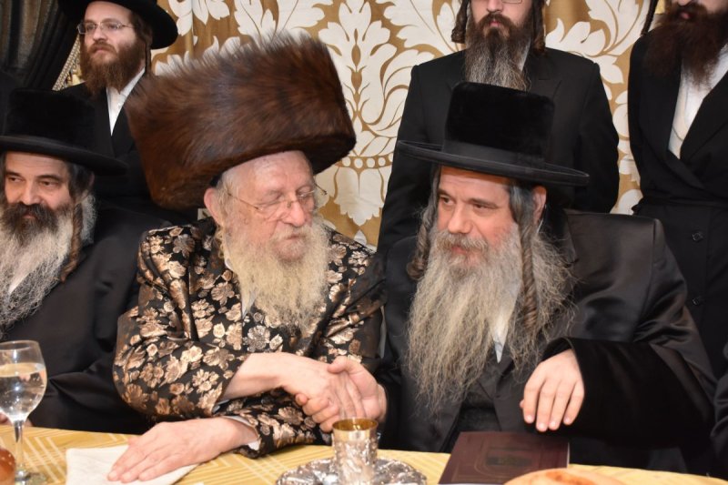 יהודה פרקוביץ