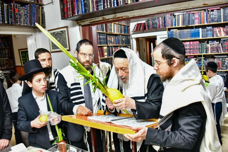 שוקי לרר