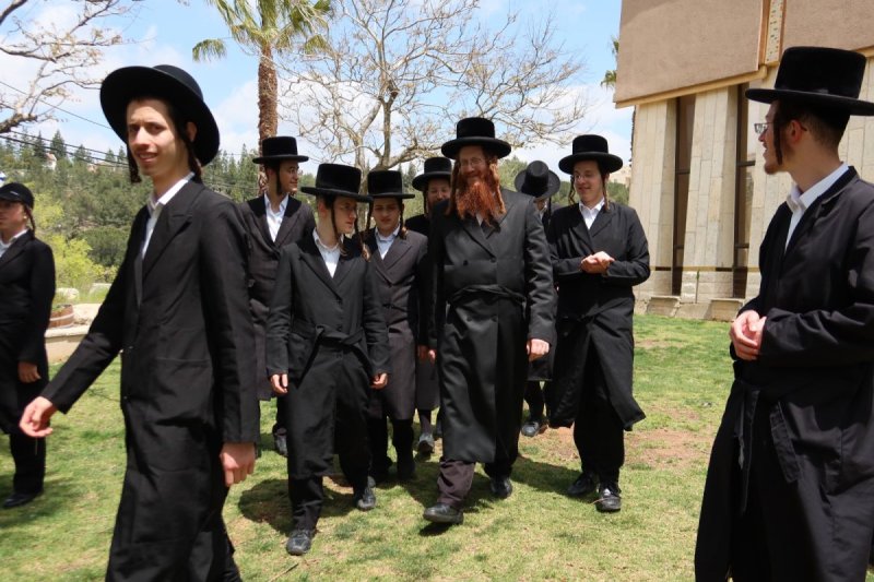 אלקנה קליין