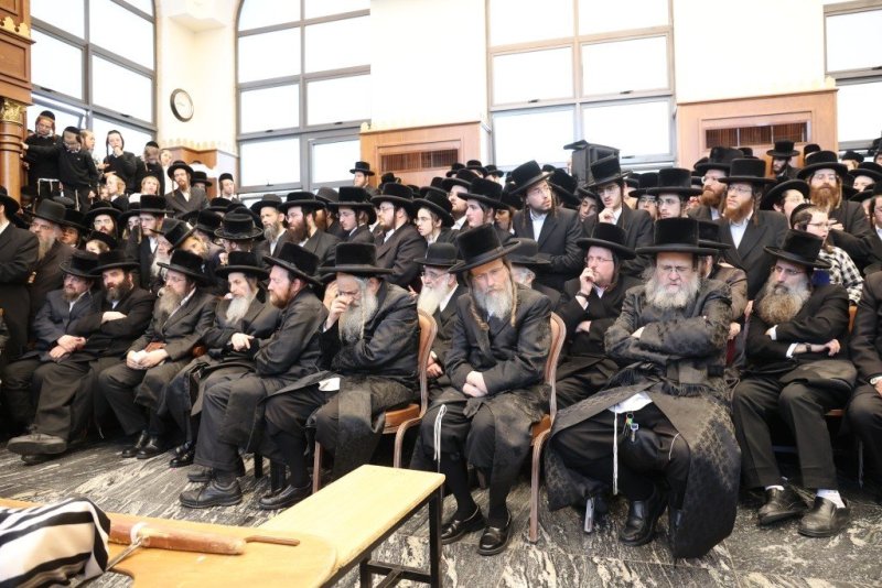 שלומי טריכטר