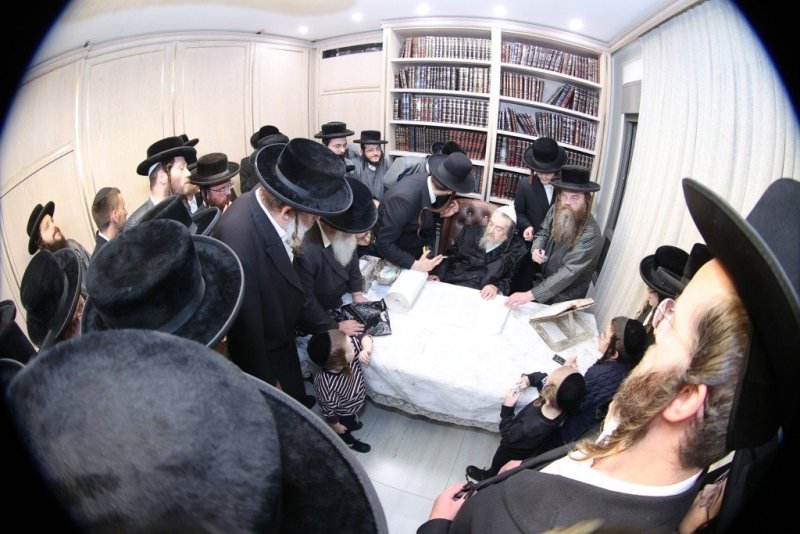 שלומי טריכטר