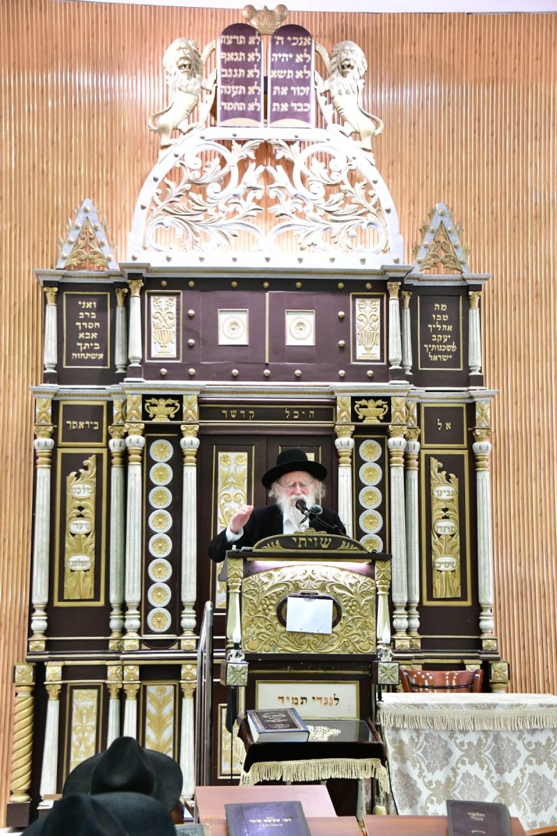 שוקי לרר