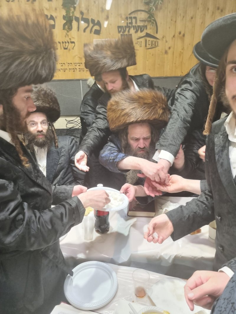 באדיבות המצלם